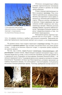 Обрезка плодовых и декоративных деревьев и кустарников — фото, картинка — 7