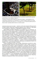 Обрезка плодовых и декоративных деревьев и кустарников — фото, картинка — 8