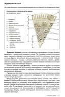 Обрезка плодовых и декоративных деревьев и кустарников — фото, картинка — 10