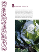 Русская кухня. Главное за 500 лет. Рецепты, техники, история — фото, картинка — 13