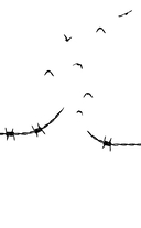 Акушерка Аушвица. Основано на реальных событиях — фото, картинка — 9