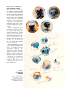 Животные акварелью от Джин Хэйнс — фото, картинка — 2