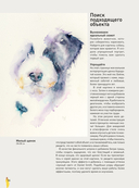 Животные акварелью от Джин Хэйнс — фото, картинка — 3