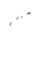 Белая фабрика — фото, картинка — 1