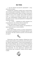 Под знаком снежной совы — фото, картинка — 15