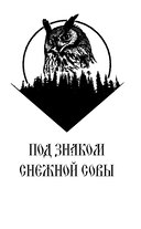 Под знаком снежной совы — фото, картинка — 9