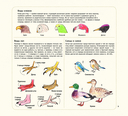 Рисуем милых птиц — фото, картинка — 9