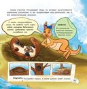 Страна наоборот. Австралия — фото, картинка — 2