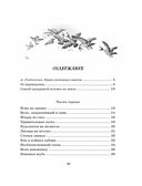 Приключения барона Мюнхаузена — фото, картинка — 1