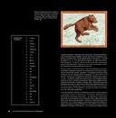 Созвездия. Большой звездный атлас — фото, картинка — 12