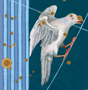 Созвездия. Большой звездный атлас — фото, картинка — 4