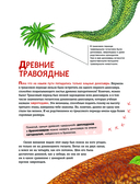 Динозавры. Самая современная энциклопедия о древних ящерах — фото, картинка — 15