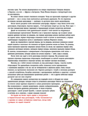 Динозавры. Самая современная энциклопедия о древних ящерах — фото, картинка — 4