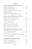 Русская литература для всех. От Толстого до Бродского — фото, картинка — 24