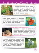 Домашние животные — фото, картинка — 4