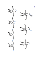 Животные и профессии — фото, картинка — 14