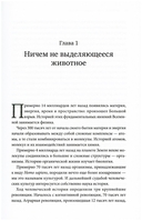 Sapiens. Краткая история человечества — фото, картинка — 13