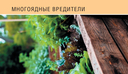 Вредители сада и огорода. Карманный атлас-определитель — фото, картинка — 11