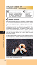 Вредители сада и огорода. Карманный атлас-определитель — фото, картинка — 14