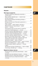 Вредители сада и огорода. Карманный атлас-определитель — фото, картинка — 3