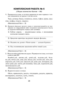 Готовимся к олимпиаде по русскому языку и литературе. 10 класс — фото, картинка — 5
