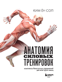 Анатомия силовых тренировок — фото, картинка — 1