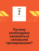 Анатомия силовых тренировок — фото, картинка — 15