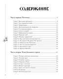 Человек-гора. Невероятный путь Петра Семенова на Тянь-Шань — фото, картинка — 1