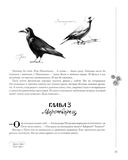 Человек-гора. Невероятный путь Петра Семенова на Тянь-Шань — фото, картинка — 11