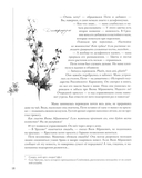 Человек-гора. Невероятный путь Петра Семенова на Тянь-Шань — фото, картинка — 14