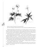 Человек-гора. Невероятный путь Петра Семенова на Тянь-Шань — фото, картинка — 10