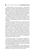 Балтийская гроза — фото, картинка — 7