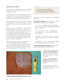 КОМПАС в мире пэчворка. Идеи, приемы, авторские проекты в технике лоскутного шитья — фото, картинка — 7