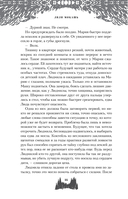 Букет незабудок — фото, картинка — 12