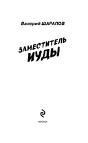 Заместитель Иуды — фото, картинка — 1