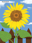 Моя книга наклеек. Насекомые — фото, картинка — 6