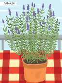 Моя книга наклеек. Насекомые — фото, картинка — 7