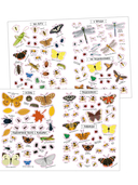 Моя книга наклеек. Насекомые — фото, картинка — 8