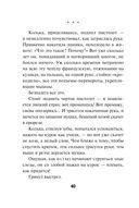 Вор крупного калибра — фото, картинка — 39