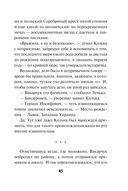 Вор крупного калибра — фото, картинка — 44