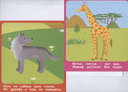 Животные в зоопарке. Набор карточек для детей — фото, картинка — 3