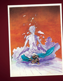 Белый лама — фото, картинка — 1