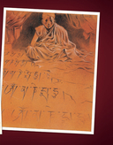 Белый лама — фото, картинка — 2