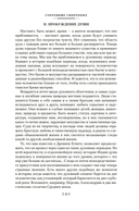 Разум цветов. Мудрость и судьба — фото, картинка — 10