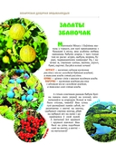 Едзем да бабулi у веску — фото, картинка — 4