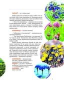 Едзем да бабулi у веску — фото, картинка — 5