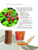 Едзем да бабулi у веску — фото, картинка — 8