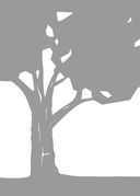 Уйти, чтобы вырасти — фото, картинка — 1