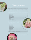 Гортензии в саду. Практический курс — фото, картинка — 2