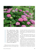 Гортензии в саду. Практический курс — фото, картинка — 13